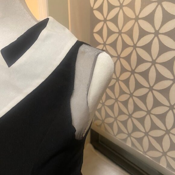 Black Sleeveless Top with Collar - Picture 2 of 7